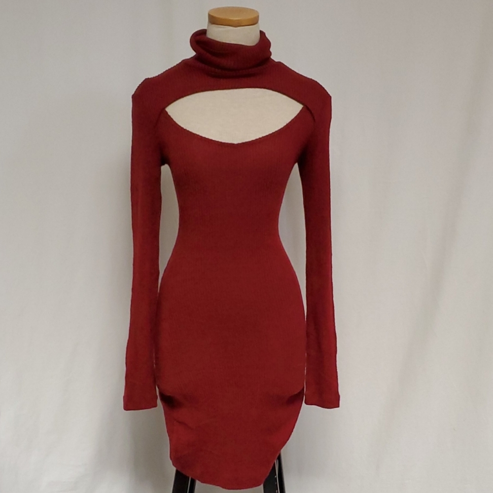 Turtleneck Long Sleeve Mini Dress